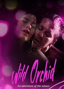 长安夜行录 海报